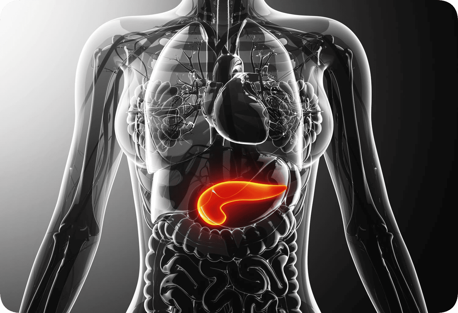 Bekam Batam Turunkan Kadar Gula Darah Pasien Diabetes Mellitus dalam Hitungan Menit