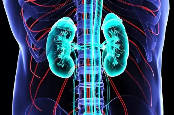 Kondisi ginjal manusia