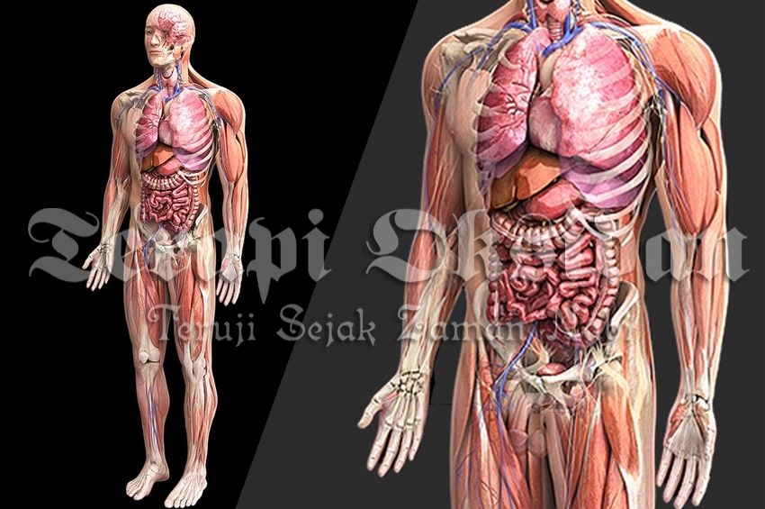 Tiga Teknik Mengeluarkan Oksidan