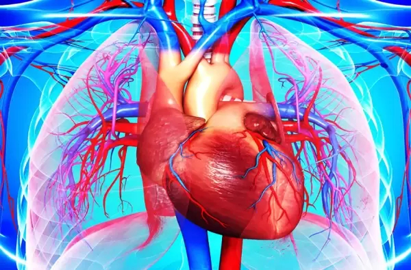 Kondisi di dalam jantung manusia