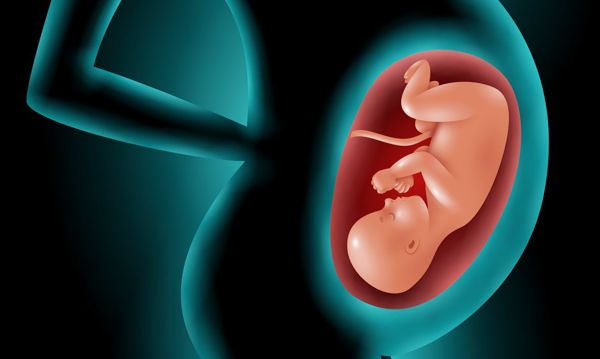 Setelah Bekam, Saya Sehat dan Istriku Hamil